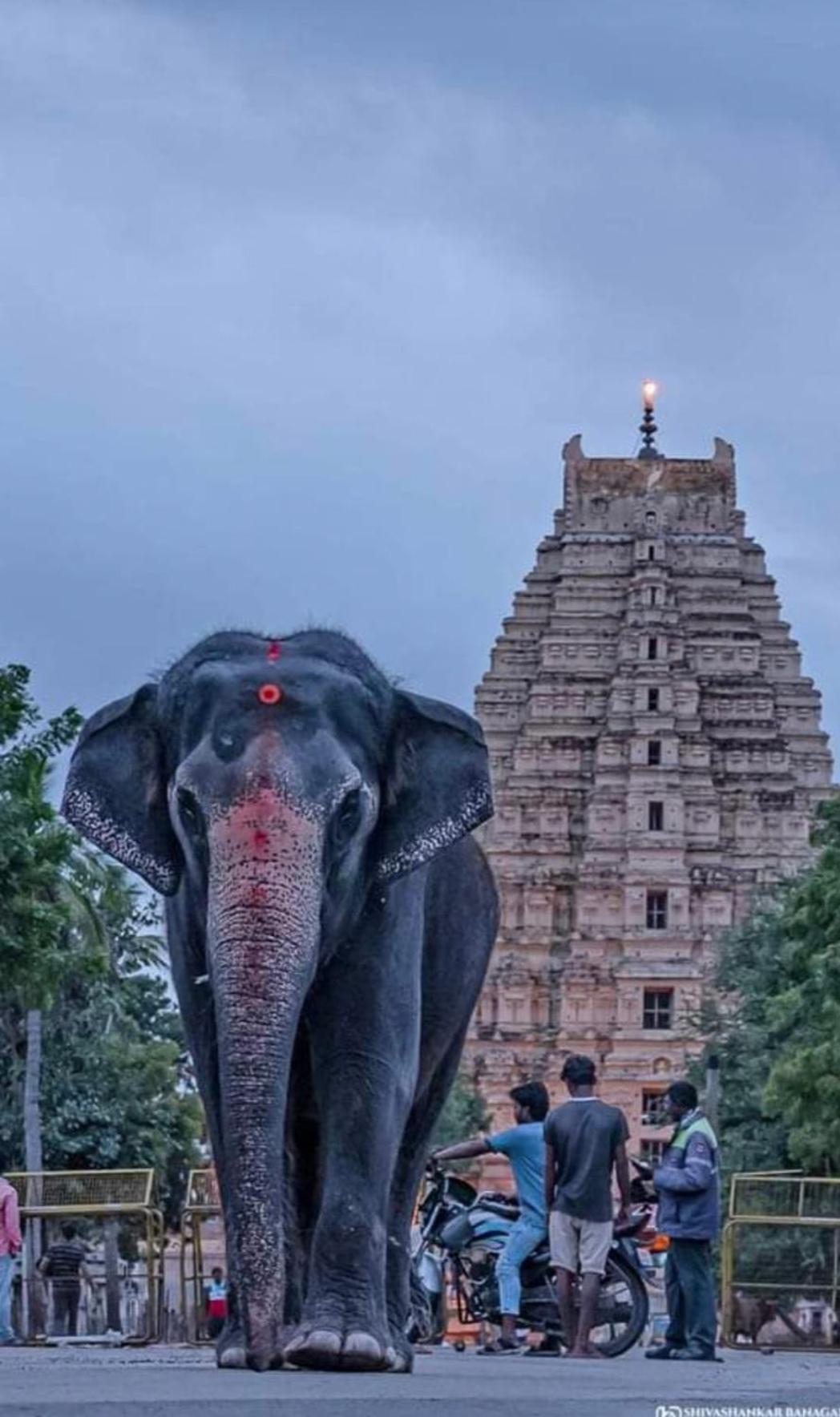 Sai Ram Home Stay Hampi Kültér fotó